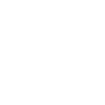 repuestos_bosch