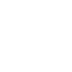 repuestos_willard